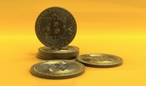 كيفية استخدام العلامات التجارية والعملاء لوسائل التواصل الاجتماعي Сالقنوات المشفرة