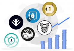 Meme Coin: What Is It, and How to Promote It?