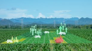 Wie wird der Yield Farming Token verwendet? Lassen Sie uns die Terminologie klären