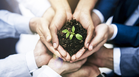 Environmentally Safe Blockchain Technology