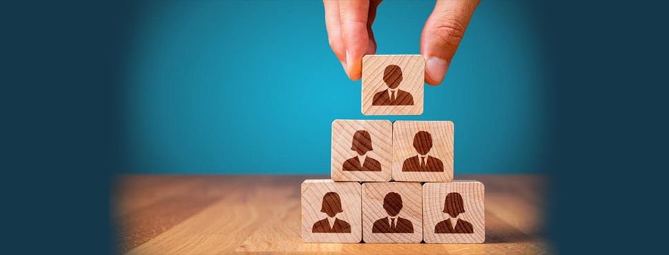 Network Marketing: Was ist mit Transaktionsmodulen?
