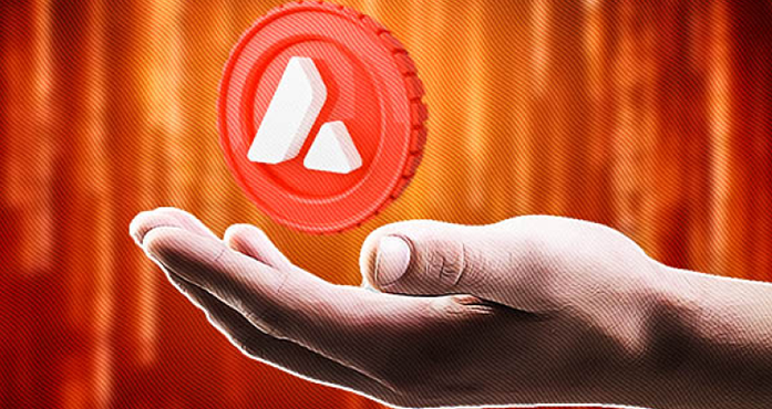 How to Boost Your Avalanche Blockchain Project and Attract Users