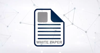 A Sneak Peek at White Paper Crypto. Why Is It Crucial Both for Users and Businesses?