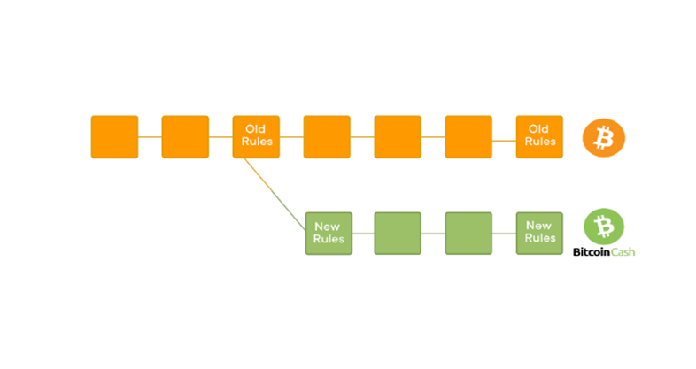 A blockchain network can split into two, sometimes creating new networks along the way