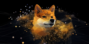 Shibarium: Unleashing the Hidden Potential of the Network