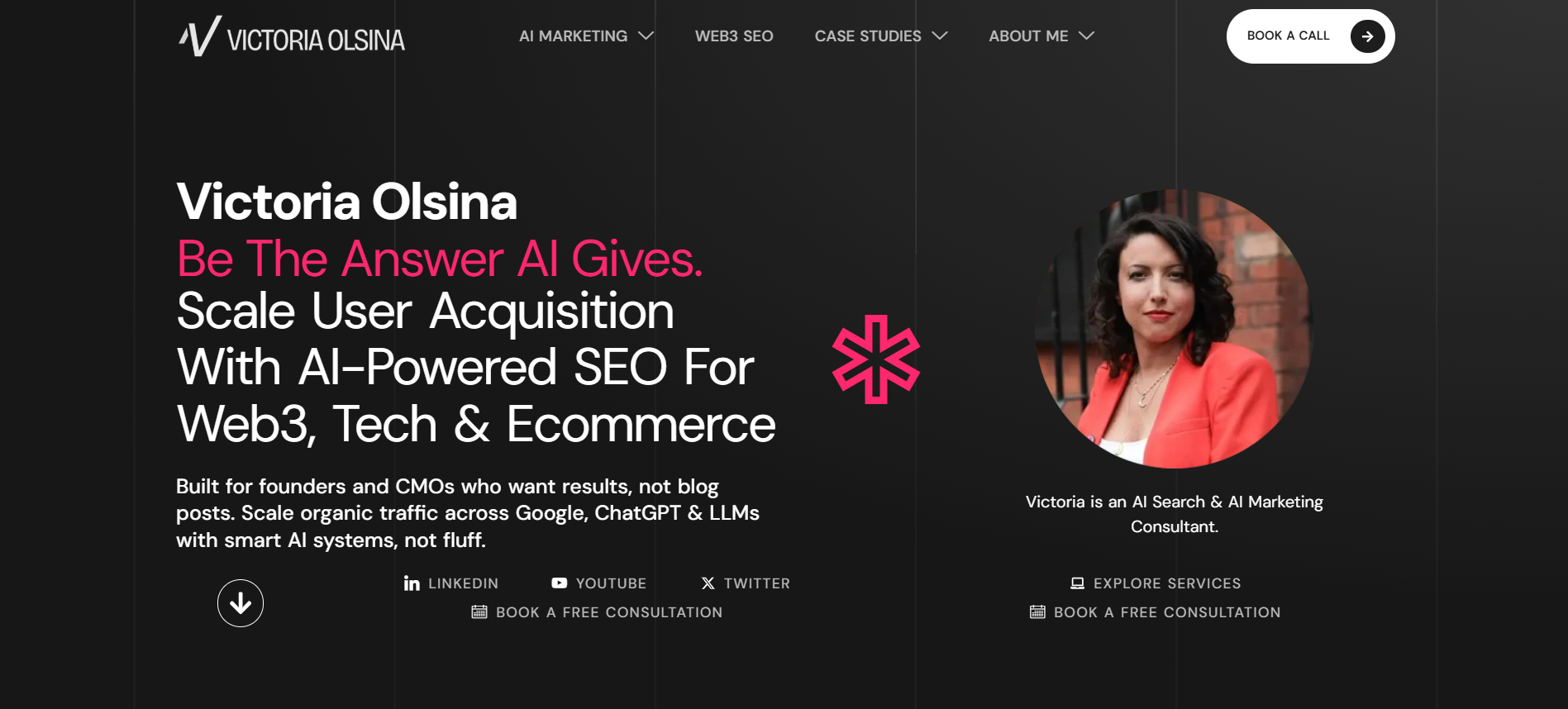 Victoria Olsina consultant website highlighting Web3 SEO expertise and fintech optimization services from specialized new york seo company professional.