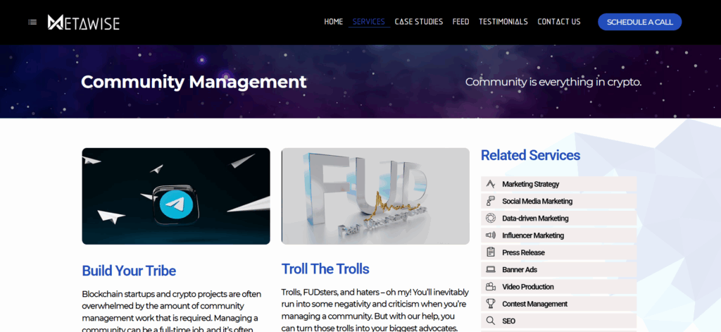 MetaWise website showcasing personalized web3 community building for crypto startups and NFT collections.