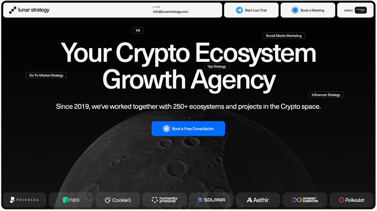 Lunar Strategy website showcasing integrated Web3 marketing and SEO services for NFT and blockchain gaming projects