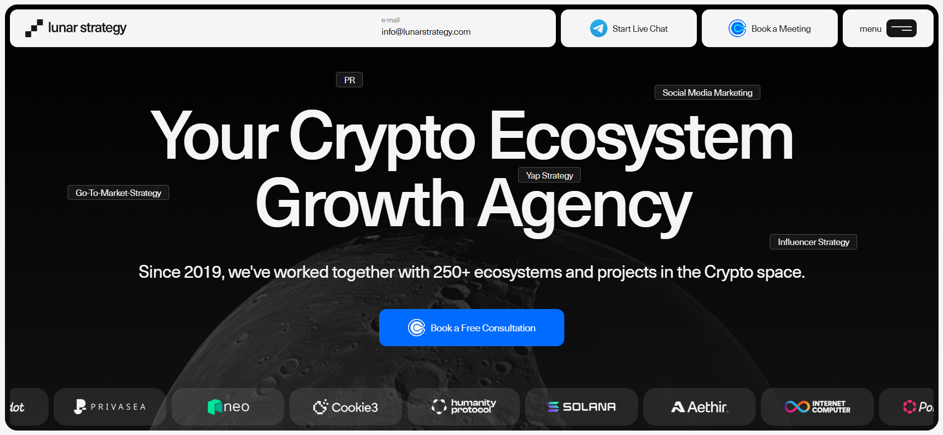Lunar Strategy crypto ecosystem growth agency homepage offering PPC marketing services and influencer strategy for Web3 projects.
