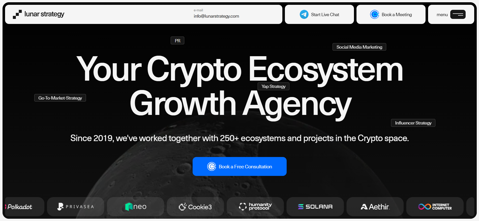 Lunar Strategy 加密生态系统增长机构主页，介绍 Polkadot、Solana 和 Internet Computer 等顶级客户。