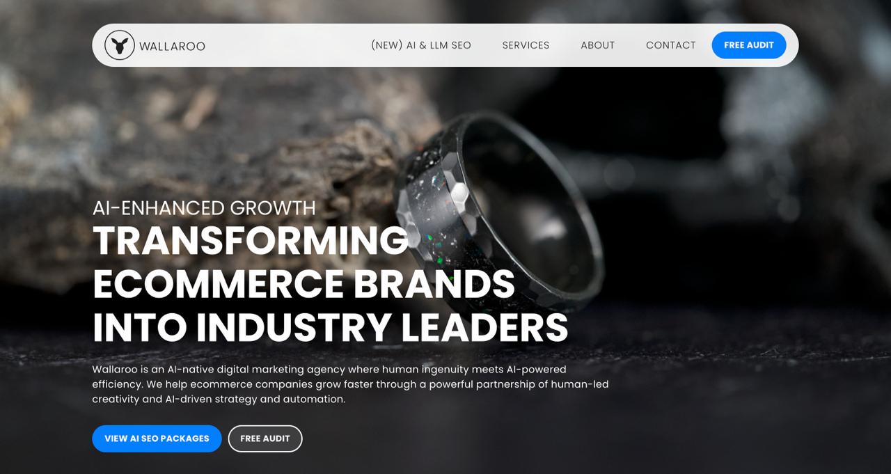Wallaroo Media agency interface highlighting ecommerce marketing services and paid media campaign management