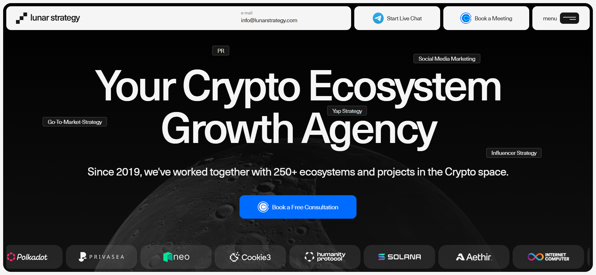 Lunar Strategy crypto ecosystem growth agency featuring Polkadot Solana and Internet Computer as marketing consulting clients.