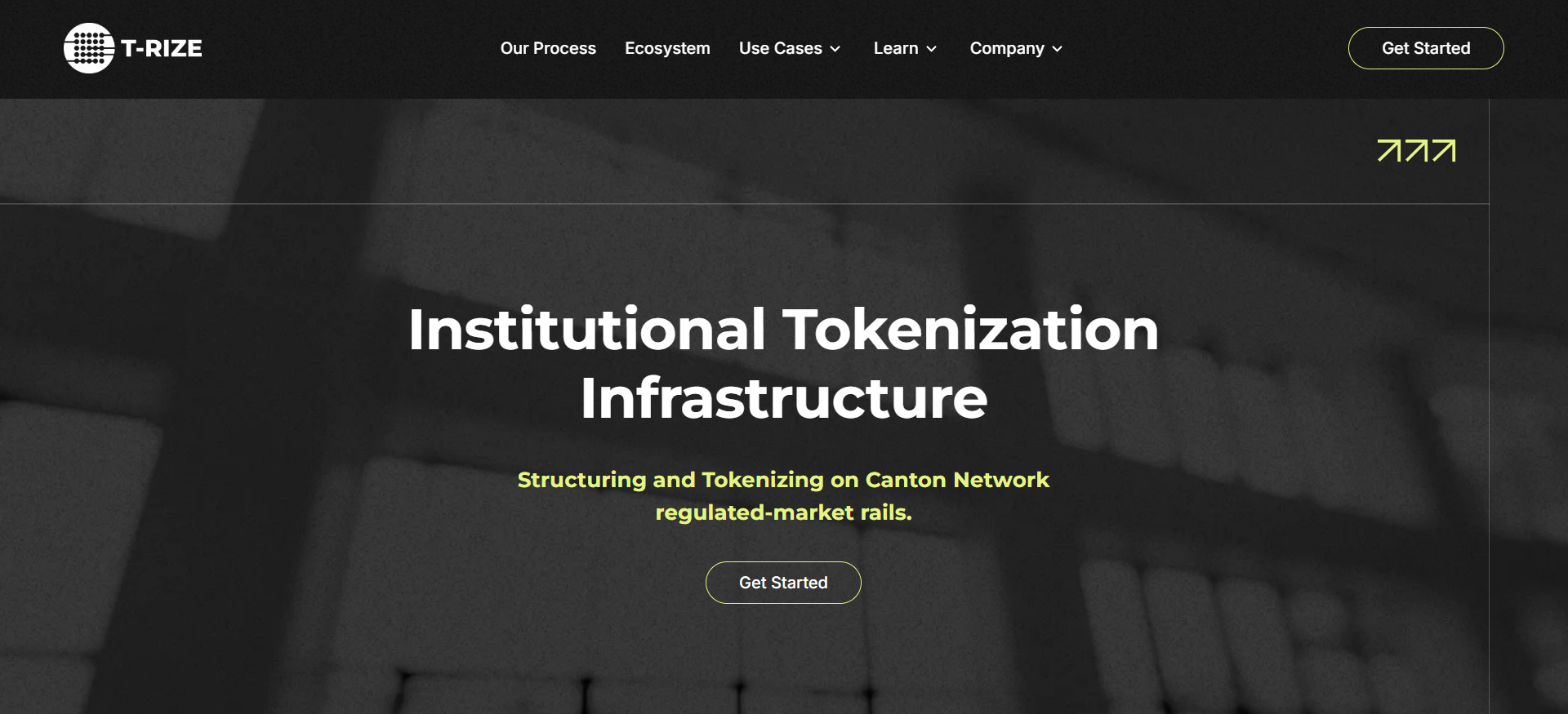   T-RIZE estructura y tokeniza bienes inmuebles en los carriles del mercado regulado de la Red de Cantón para la preventa de criptomonedas RWA en febrero de 2026.