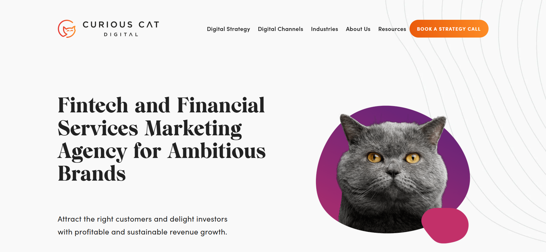 Curious Cat Digital fintech and financial services marketing agency homepage for ambitious brands seeking strategy-first digital growth.