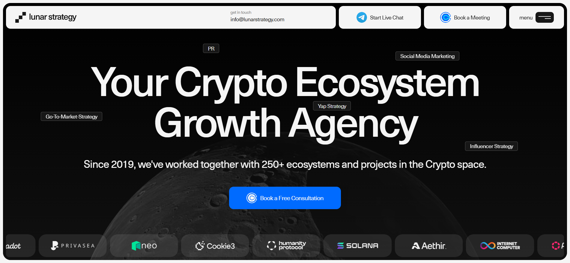 Lunar Strategy crypto ecosystem growth agency homepage with 250+ supported projects and influencer, PR, and go-to-market services since 2019.