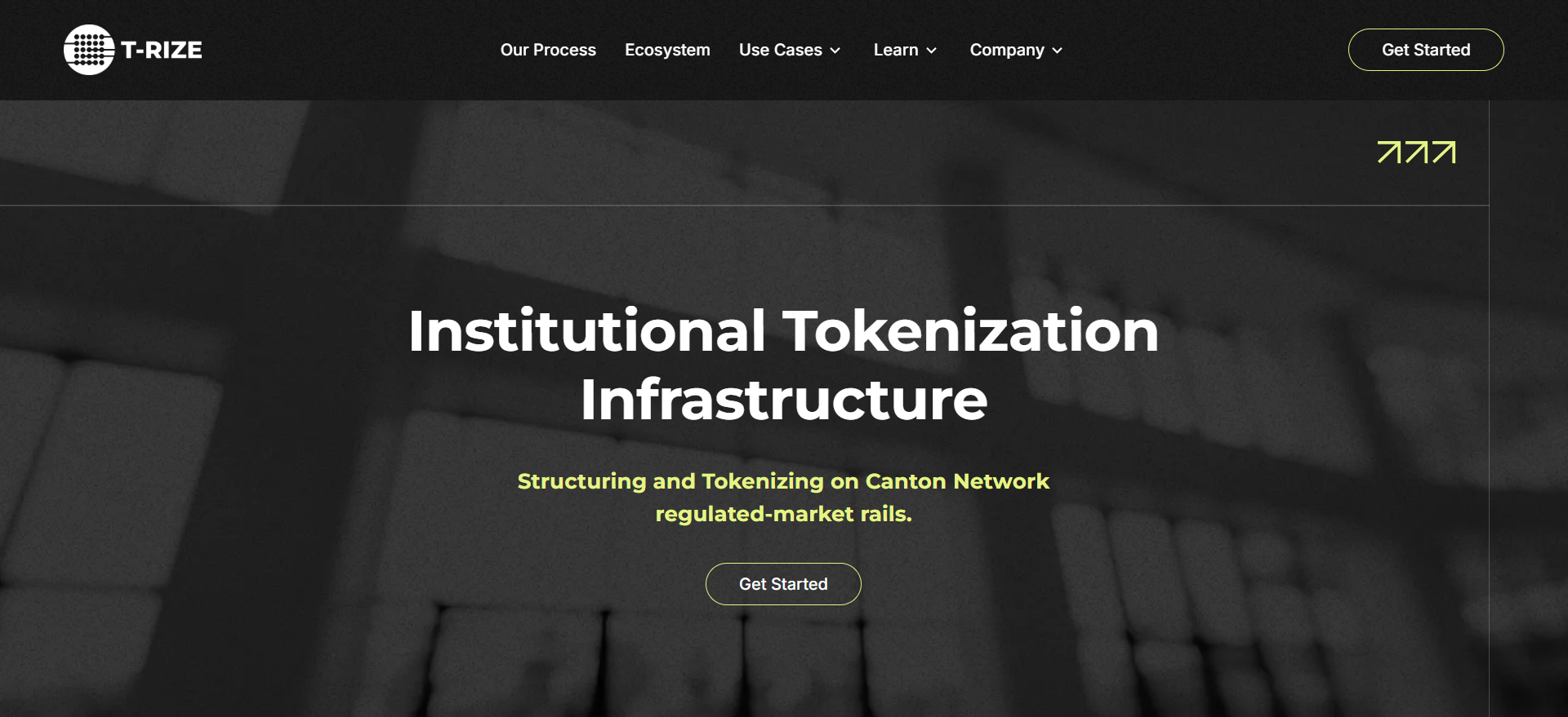 T-RIZE institutional tokenization infrastructure on Canton Network — best crypto presales March 2026.